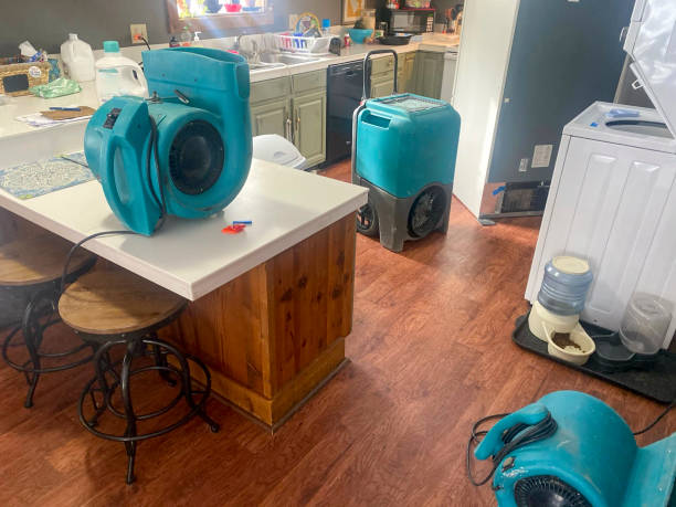 Best Water damage cleanup near me  in Mansfield, TX