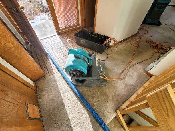 Best 24-hour water damage restoration  in Mansfield, TX