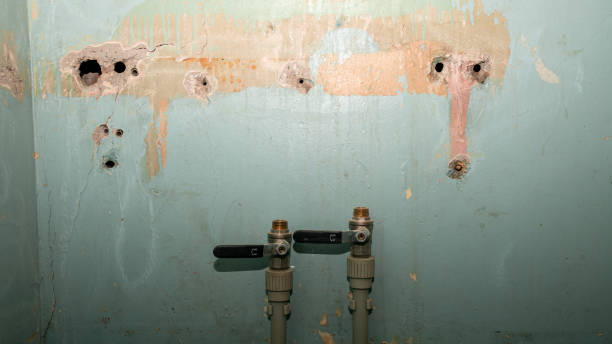 Carpet water damage restoration in TX